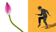 कमळाच्या देठानं श्वास घेऊन 5 तास तलावात लपला, तरीही पोलिसांनी मोस्ट वाँटेड चोर कसा पकडला?