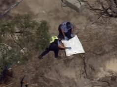 Human bones found on Rottnest Island found to be historical remains of Indigenous person