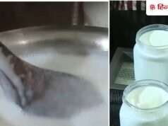 ना मशीन, ना मेहनत! 1 लीटर दूध से बनाएं बाजार जैसा गाढ़ा योगर्ट, दही से जल्दी जमेगा और फायदेमंद भी होगा