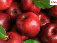 चमक देखकर सेब तो नहीं खरीद रहे हैं आप? किसान के बताए इन 3 तरीकों से करें असली सेब की पहचान