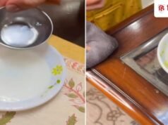 पुराने लकड़ी के फर्नीचर को चमकाने की 2 ट्रिक सीख लें, पॉलिश के ₹1000 बच जाएंगे!