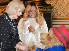 Paddington The Musical tipped for Olivier Awards glory