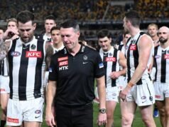 ', We got exposed ',: Birds bite wounds, waited on Daicos