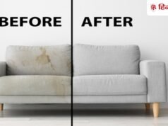 ड्राई क्लीन के ₹1000 रुपए बचेंगे! गंदे से गंदा सोफा साफ करने का ये 1 तरीका सीख लें