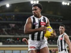 Magpies prepared for a new battle when the lions strike