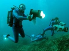 കുഫോസിൽ മത്സ്യ പഠനം; സാധ്യതകളുടെ സമുദ്രം