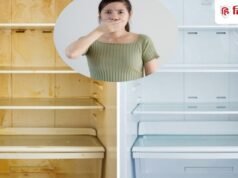 गर्मियों में फ्रिज से गंदी बदबू आती है? ये 3 हैक नोट कर लें, गंदे पीले दाग भी गायब होंगे!