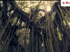 बेहद डराने वाली है 3 एपिसोड की ये डॉक्यूमेंट्री, उड़ जाएगी नींद, 7.4 है IMDb रेटिंग