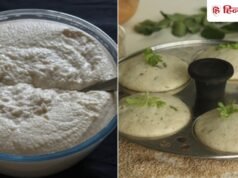 देसी हैक: गर्मियों में खट्टा हो जाता है इडली का बैटर? ये 1 पत्ता मिला दें, परफेक्ट स्वाद आएगा!