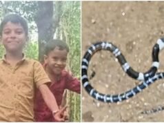 അനോഷിനെ വെന്റിലേറ്ററില് നിന്ന് മാറ്റി; വീട്ടില് നിന്നു വീണ്ടും പാമ്പിനെ കണ്ടെത്തി