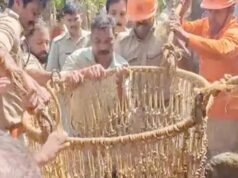 കല്യാണം ക്ഷണിക്കാന് പോയ വീട്ടിലെ നായ കുരച്ചുചാടി; പേടിച്ച് കിണറ്റില് വീണ 60കാരന് പരുക്ക്