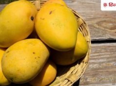 ज्यादा आम खरीद लिए हैं? ऐसे करें सही तरीके से स्टोर, नहीं होंगे खराब