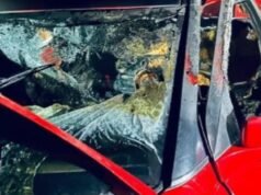 കാറിന് തീപിടിച്ച് ഗര്ഭിണി മരിച്ച സംഭവം: ഷോര്ട്ട് സര്ക്യൂട്ടല്ല, ഇന്ധന ടാങ്കില് ചോര്ച്ചയുമില്ല; കാരണം കണ്ടെത്താന് പരിശോധന തുടരുന്നു