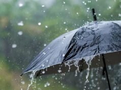 സംസ്ഥാനത്ത് ഇന്നും ശക്തമായ മഴയ്ക്ക് സാധ്യത; ഏഴ് ജില്ലകളില് മഞ്ഞ അലര്ട്ട്